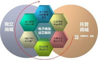 电子商务 数字时代的商业革命与未来趋势